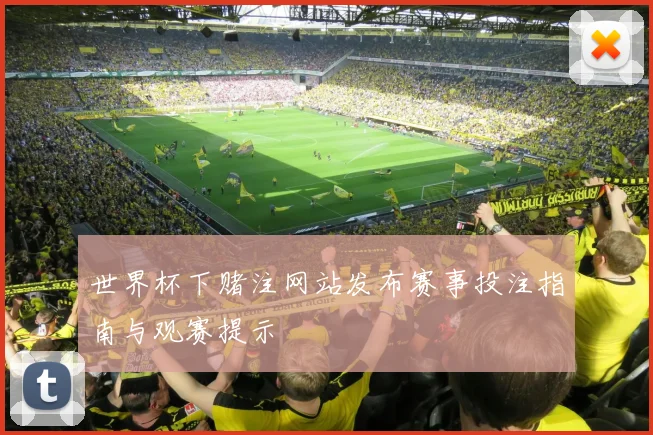 世界杯下赌注网站发布赛事投注指南与观赛提示