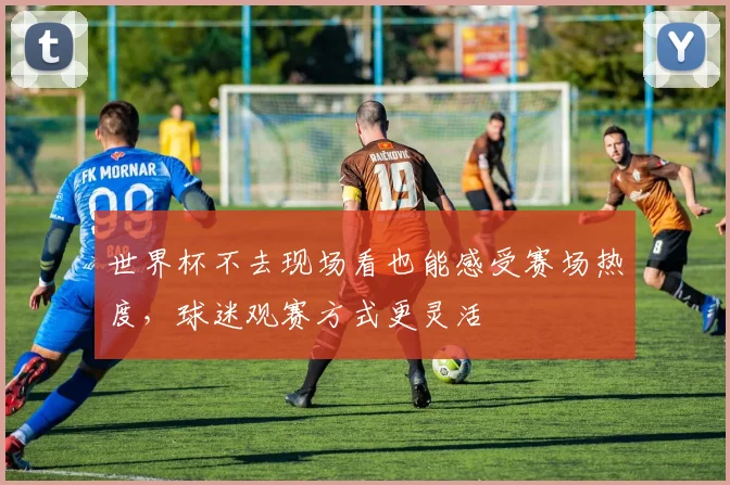 世界杯不去现场看也能感受赛场热度,球迷观赛方式更灵活